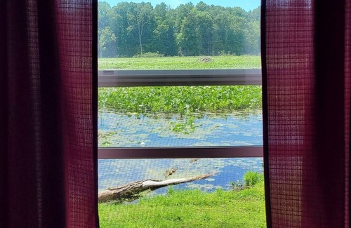 Marcellus Cabin | Nature lover's paradise! Just peace, solitude, tranquility, birds & the trees!