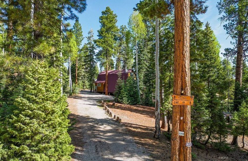 Meadow View Heights Cabin | Nature's Charm