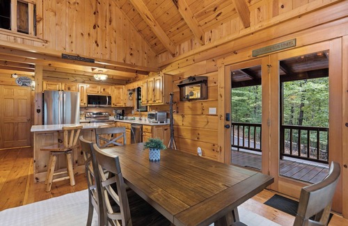 Blue Ridge Cabin | Nature's Escape in the Aska Adventure Area