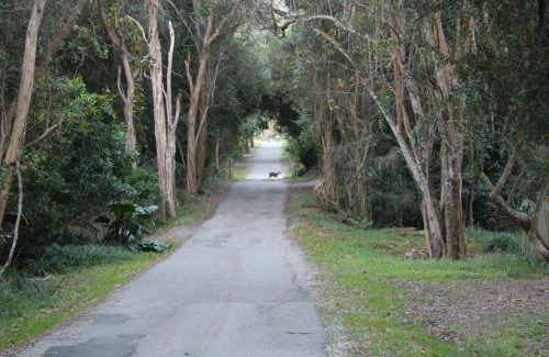 Nature's Valley House | Nature's Valley Health Retreat A Hide away in the Forest
