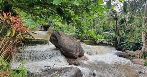 Vastare House | Nature Stay - Private Water Stream and a Pool