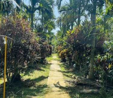Vastare House | Nature Stay - Private Water Stream and a Pool