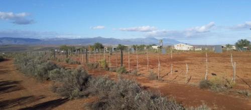 Route 62 House | Natures Rest Lapa