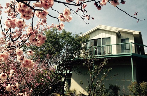 East Jindabyne House | NATURESCAPE HOLIDAY ACCOMMODATION