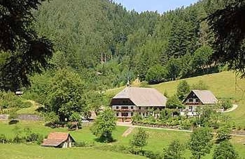 Hornberg Apartment | Naturhäusle Apartment, 45qm, 1 Schlafraum, max. 2 Personen