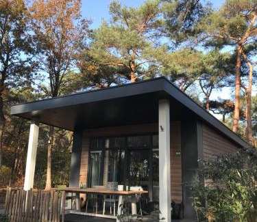 Hardenberg House | Natuurhuisje Pine & Oak 6 persoons