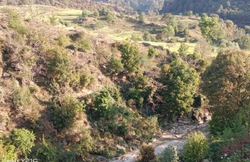 Vijaypur Hotel | Nauling Heritage