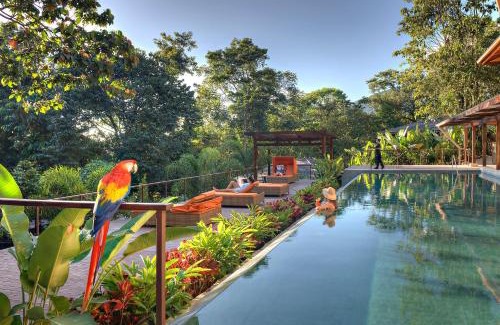Palma Hotel | Nayara Springs - Adults Only