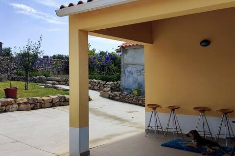 Alcobaca House | Nazaré WSL Experience 2025