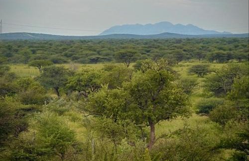 Otjiwarongo Cabin | Ndefu Self Catering Accommodation