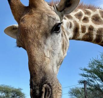 Otjiwarongo Cabin | Ndefu Self Catering Accommodation