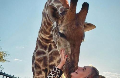 Otjiwarongo Cabin | Ndefu Self Catering Accommodation