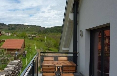 Thannenkirch Apartment | NEAR A THANNENKIRCH RIBEAUVILLE COTTAGE DUPLEX PANORAMIC