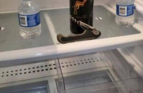 Hudson Beach Estates House | Near Hudson Beach! Canal View Home!