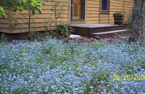 Jacksonport Cabin | Neat Cottage Getaway On The Lake Michigan Rugged Shore=relax-romantic-restore-ah