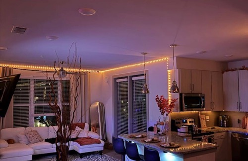 Charlotte Apartment | Neighboring TOP GOLF cozy illuminated 2bed 2bath