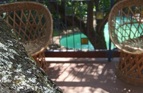 Nelspruit Hotel | NELSPRUIT MHLANGENI GUEST HOUSE