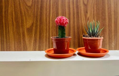 Agara Apartment | Nemmadi