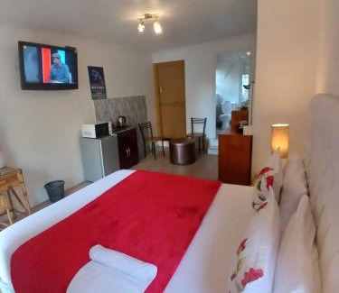 Ottery Apartment | Neo & Ruks Guest Houses Boston Belleville 5