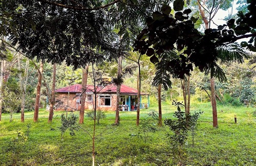 Kushalnagar House | Nephila Farm | CA2 | Quiet | Remote | Nature Haven