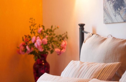 Radicondoli Other | NESPOLO - IL VECCHIO MULINO TOSCANA