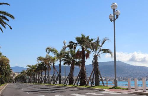 Carre d'Or Apartment | Nestor&Jeeves - PALMA BEACH - Proche Mer