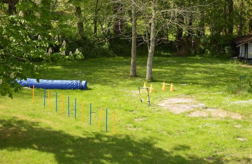 Dornumergrode Apartment | !neu! Apartment Border Collie