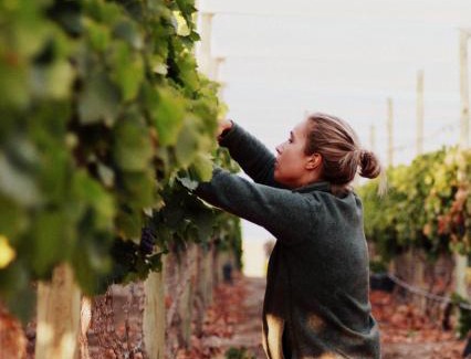 Sesriem Hotel | Neuras Wine and Wildlife Estate