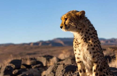 Sesriem Hotel | Neuras Wine and Wildlife Estate