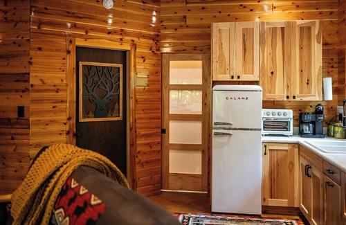 Wellston Cabin | New 1bd/1bth cabin + washer/dryer- Sleeps 4 Near trails/Tippy Dam