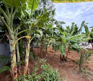 Valikamam East House | New 3-Bedroom House in Jaffna near Nallur Kovil