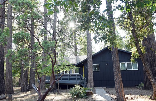 Glencoe Cabin | "NEW" AC, Wineries, BBQ, Game Room, Fire Pit, Cozy & Forest View
