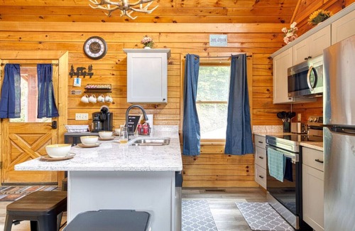 Sevierville Cabin | NEW! Amazing Lake VIEWS Log Cabin+Hot Tub+Arcade!
