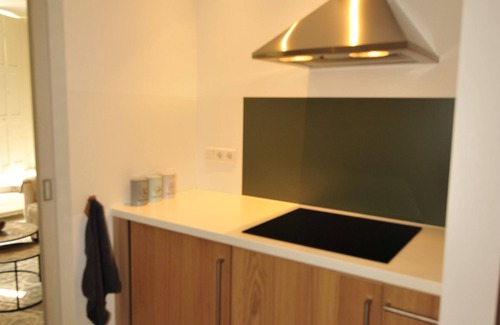 Zaltbommel Apartment | New apartment in historic building Zaltbommel