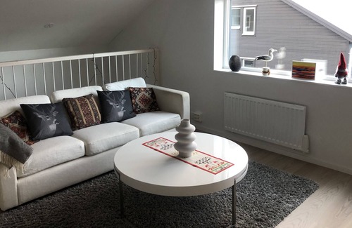 Salen Apartment | New apartment in Swedish ski resort