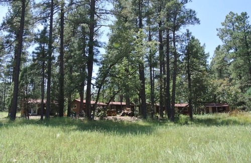 Payson Cabin | New bathroom!Private porch swing, picnic table, plus indoor Jacuzzi & Fireplace.