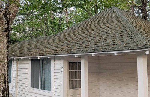 Bar Harbor Cabin | New Cabin for your Holiday Cabin 12B