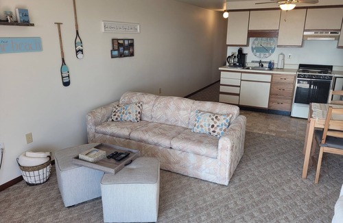 Oscoda Condo | New! Carpe Diem 365 - Very Cute Lakefront Condo with Private Beach!