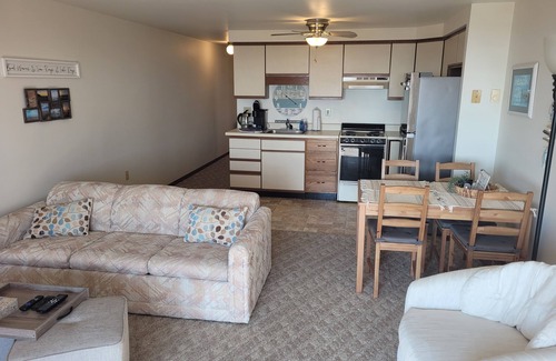 Oscoda Condo | New! Carpe Diem 365 - Very Cute Lakefront Condo with Private Beach!