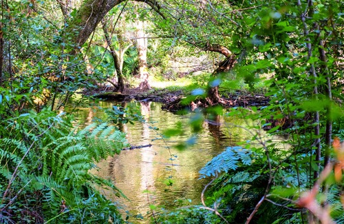 Azur Ski Chalet | NEW CHALET 4 PERS. ANY COMFORT SOUTH LANDES SEA FOREST HEATED POOL