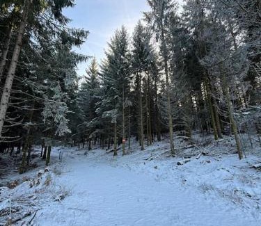 Senones Ski Chalet | NEW chalet de standing premium