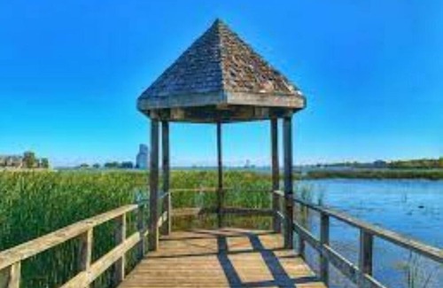Collingwood Condo | NEW Condo 2 bedroom furnished 2 bathroom.nn