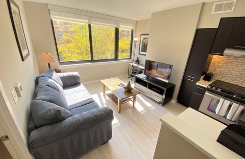 Rosslyn Apartment | NEW condo in superb Arlington with free parking and close to DC and metro