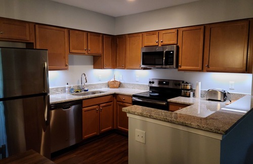 Nellysford Condo | New construction! Top of Wintergreen mountain. 1BD/2BA, sleeps 4, pet-friendly