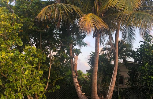 Westward Villas Subdivision Apartment | NEW - Cosy Island Style Boho-Chic Seagrape Studio