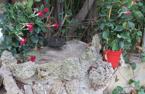 Le Thoronet Cottage | NEW EGLANTINE STUDIO GITE