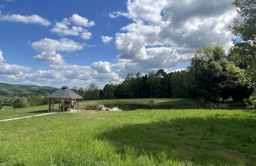 Fly Creek Cottage | New for 2024! Koko's Koop - Sleeps 6!