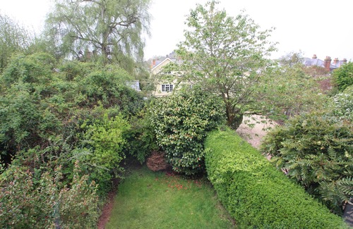 New Forest District Cottage | New Forest Cottage overlooking Green where ponies & forest animals often graze