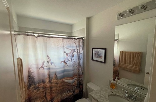 Bulverde House | New home in Bulverde. Convenient to Guadalupe, New Braunfels, SA, & Canyon Lake