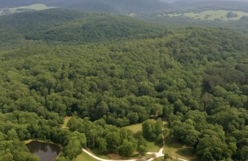 Eureka Springs House | NEW Hot tub, Fireplace, Swing, Modern Cabin